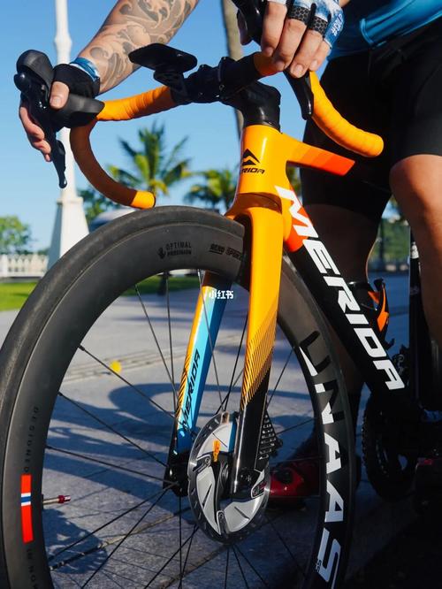 珠海骑行/美利达-瑞克多迈凯伦涂装_迈凯伦_骑车_摄影