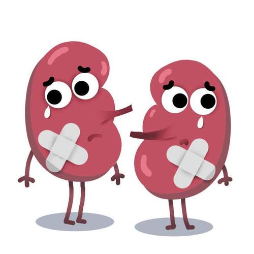 年纪轻轻痛风6年,每次发作都只吃止痛药,结果肾脏产生