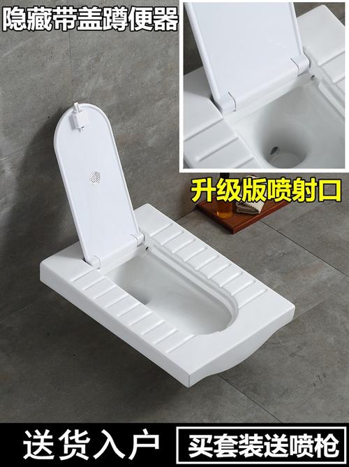 便器家用用带盖板带盖隐藏藏式蹲坑洗手盆龙头蹲便器