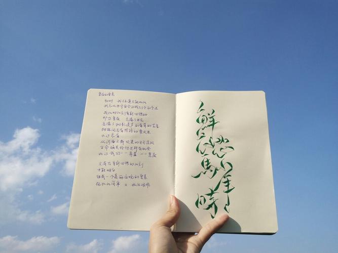 【悦阳的手写铺子】手写菊花体～鲜衣怒马少年时