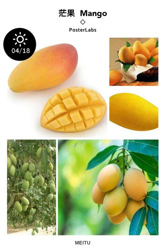 茫果mango英 [mɡ]