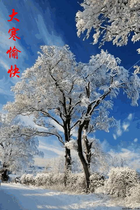 今日大寒把最美好的祝福送给您