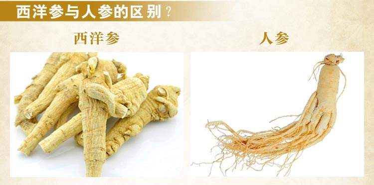 西洋参跟人参的区别在哪里
