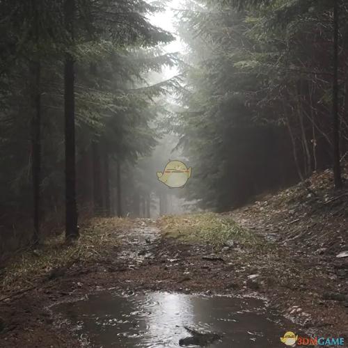 wallpaperengine雨中的森林山路动态壁纸