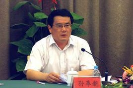 孙革新(安徽省东至县委书记)