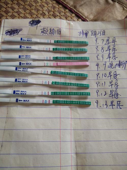 早孕试纸每天加深一点,不去验血了,42天去做b超