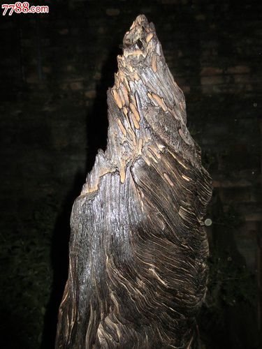 阴沉木【乌木】(284)