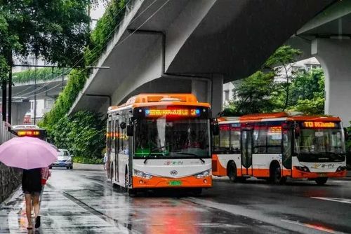 新穗巴士技术部总监助理万小毅介绍,三门公交车全车电池组采用磷酸