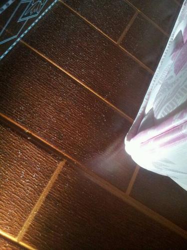 半个月前买的床垫长虫.