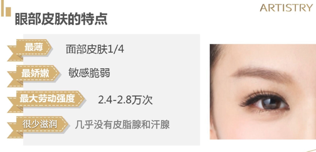 皮肤结构与问题下