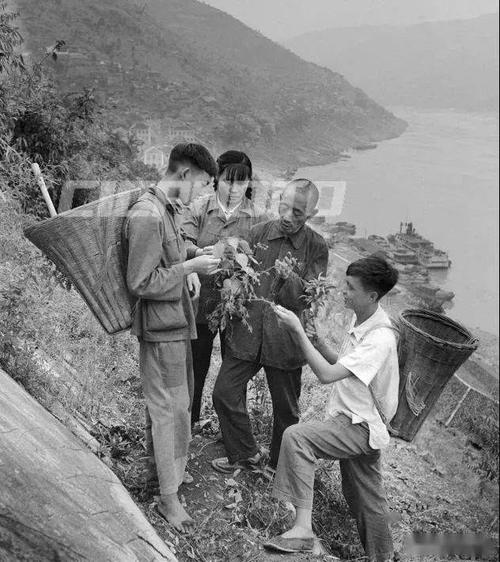 经典珍藏巴东县上世纪六十年代的那些老照片