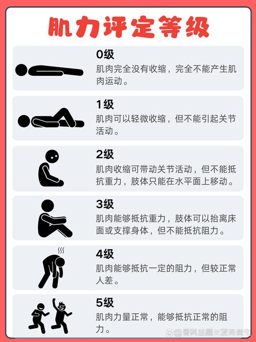 肌力评定,简单来说,就是对肌肉力量进行科学评估的过程