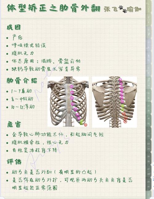 体型矫正之肋骨外翻(私教案例)_肋骨外翻_私教_外扩_瑜伽_腹肌_卷腹