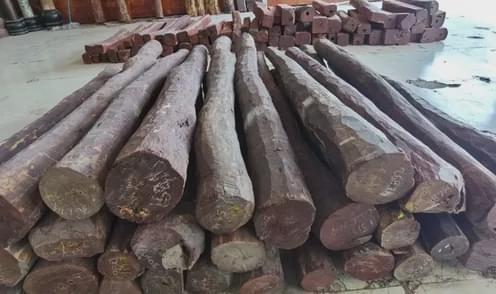 印度小叶紫檀a 级政府料(拍卖料)  1.7-2.1mx8-18cm