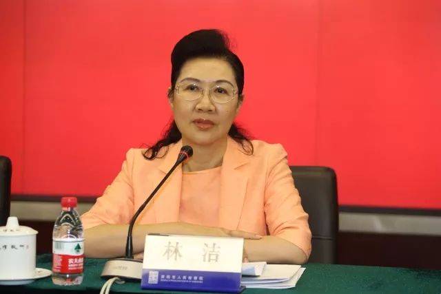 市委常委,统战部部长林洁