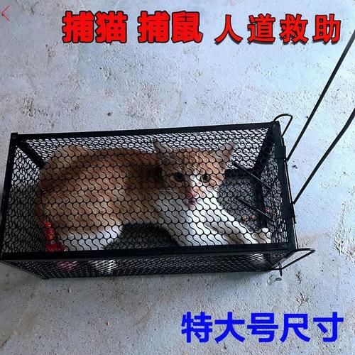 野外捕猫特大号抓猫小区捉猫笼逮神器全自动捕狗笼子