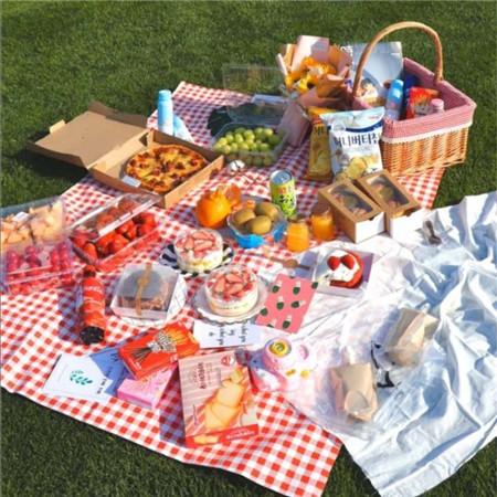 野餐图片大全真实高清春季野餐图片小清新意境