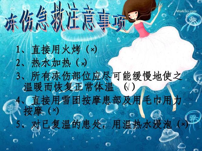 冬季防寒防冻及道路交通安全教育主题班会ppt