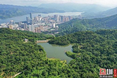 春光锁不住,踏青正当时!打卡盐田半山公园带