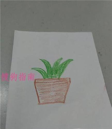 简笔画花盆是怎么画的