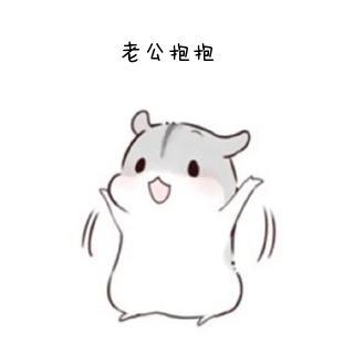 卡通gif动态图片,小仓鼠伸胳膊老公抱抱动图表情包