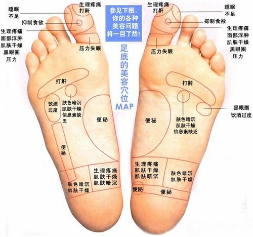 足底反射学说以中医经络学和生 物全息反射学为理论依据,认为脚与耳朵