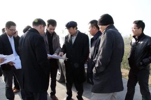 碧桂园控股有限公司副总裁谢树太一行来冶考察投资环境