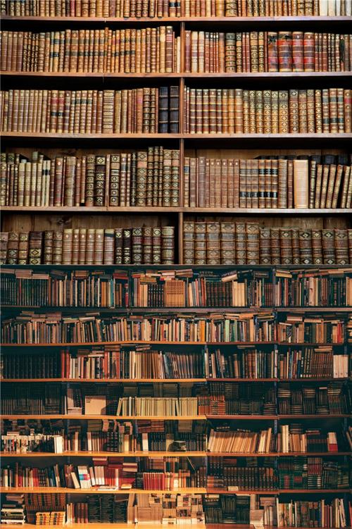 布3d立体书柜直播背景墙讲师主播录视频背景布书架书房拍摄背景墙纸