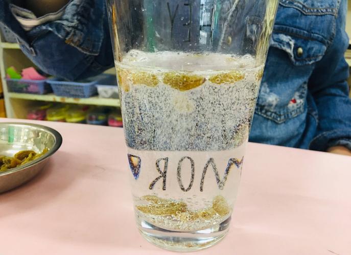 一起来仔细看看,葡萄干在雪碧里是怎样跳舞的吧!
