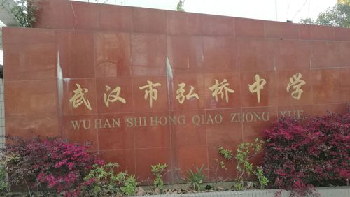 长江之滨,莲花湖畔,弘桥中学(原汉阳铁路子弟学校).你与老同学相聚.