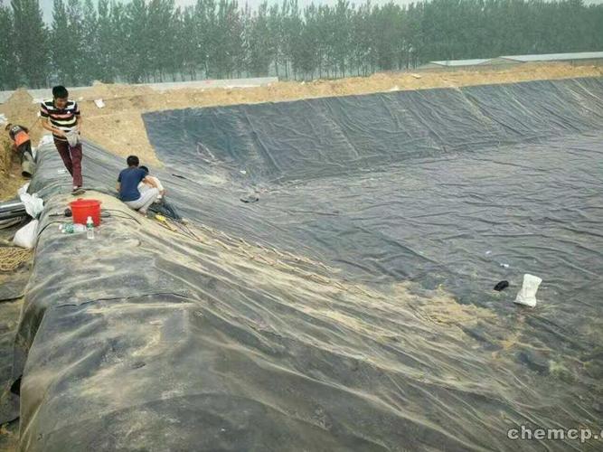 行业新闻:秦皇岛车库疏水板12mm排水板厂家直销有限公司欢迎