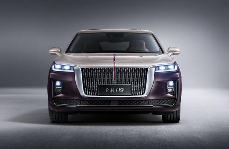 14岁全红婵没有驾照,红旗轿车将转赠给大哥?全爸爸陷入两难