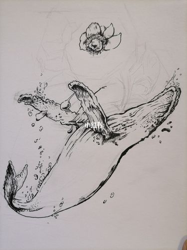 教你画鲸落_简笔画_大海_浪漫_简笔画教程_文化_绘画