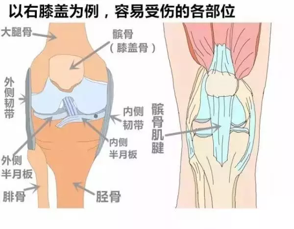 膝盖总是不舒服终于有解决办法了