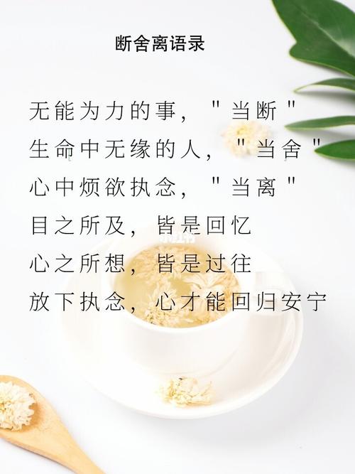 断舍离语录_断舍离_语录_素材_文字素材