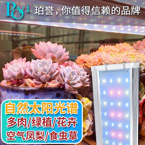 珀誉多肉补光灯家用全光谱自然上色三档调光模拟太阳光植物生长灯