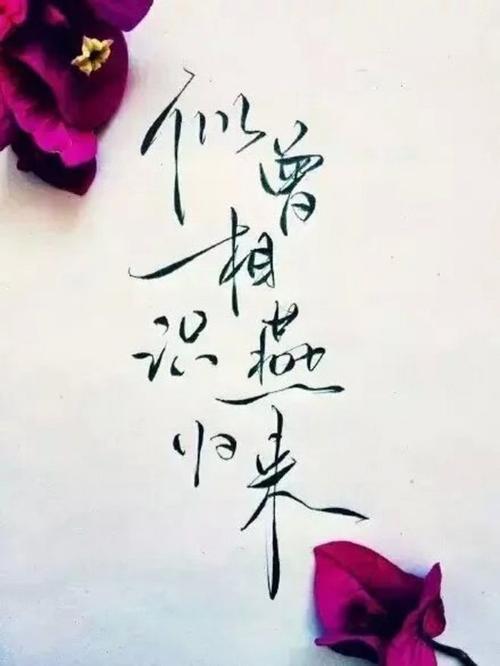 这字体叫菊花体,美哭了!