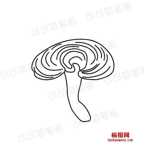 灵芝简笔画图片大全