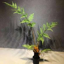仿真猴头蕨植物盆栽金丝猴草假树室内自然禅意绿植金毛狗蕨树摆件