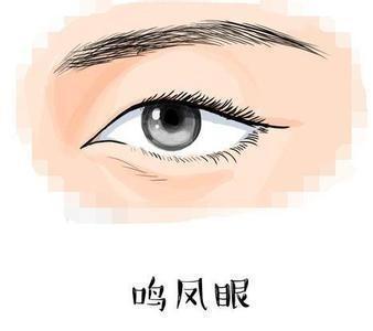 呜凤眼图片解析凤眼可以分成几种