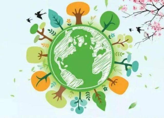 威海市望岛小学"创建无废校园,助力无废城市"活动开启