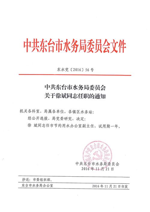 中共东台市水务局委员会关于徐斌同志任职的通知
