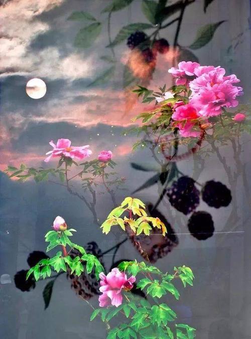名花也自难培植,合费天工万斛春.