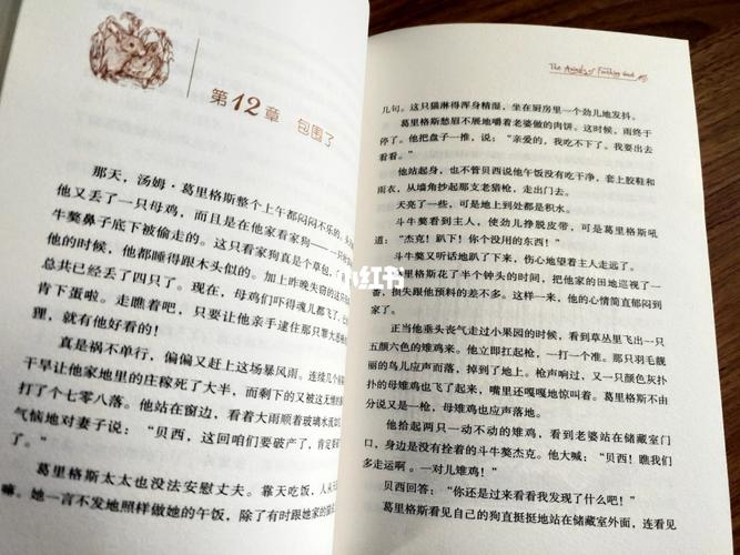 动物远征队