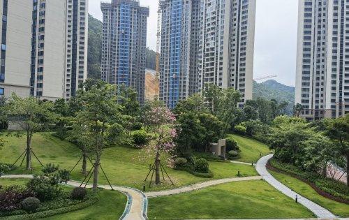 碧桂园凤凰城云顶