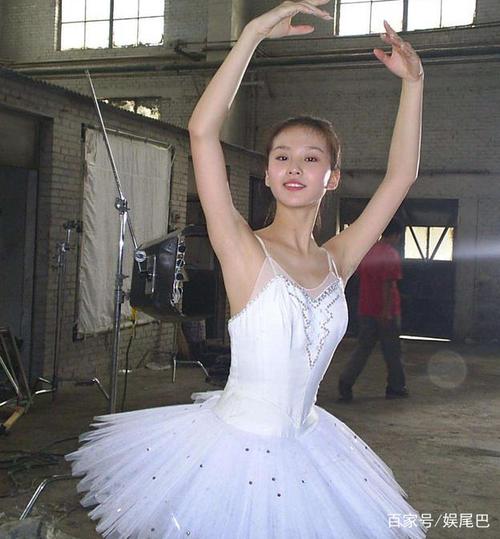 女星芭蕾舞造型,刘诗诗优雅,李小璐少女感足,看到景甜我笑了