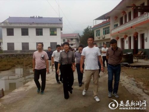 李力到炉观镇调研文明创建和易地扶贫搬迁工作