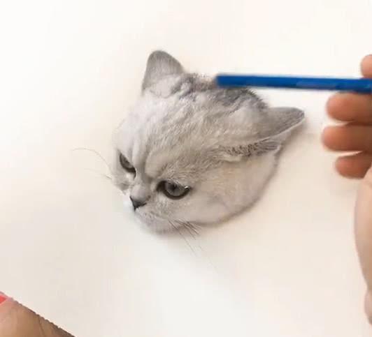 主人把猫咪画的栩栩如生,可仔细看一眼猫咪眼睛后,笑