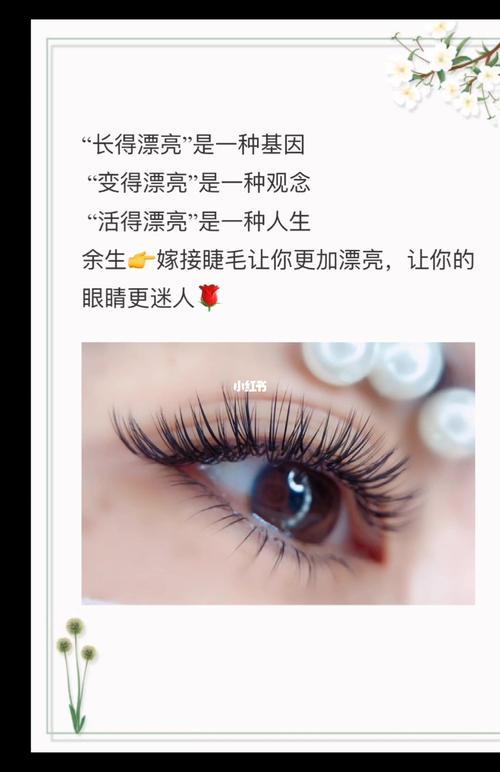 美睫精美文案_文案_美睫_睫毛精_睫毛精宝宝_素材