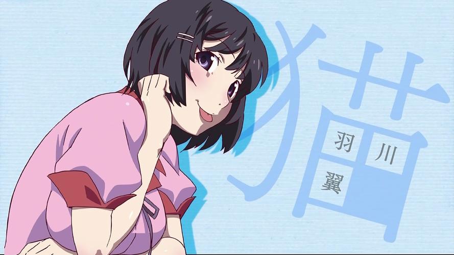 化物语羽川翼图集第一弹10